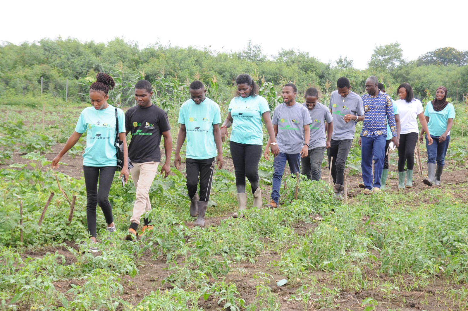 //oakfoundation.org/wp-content/uploads/2022/06/DSC_0078.jpg